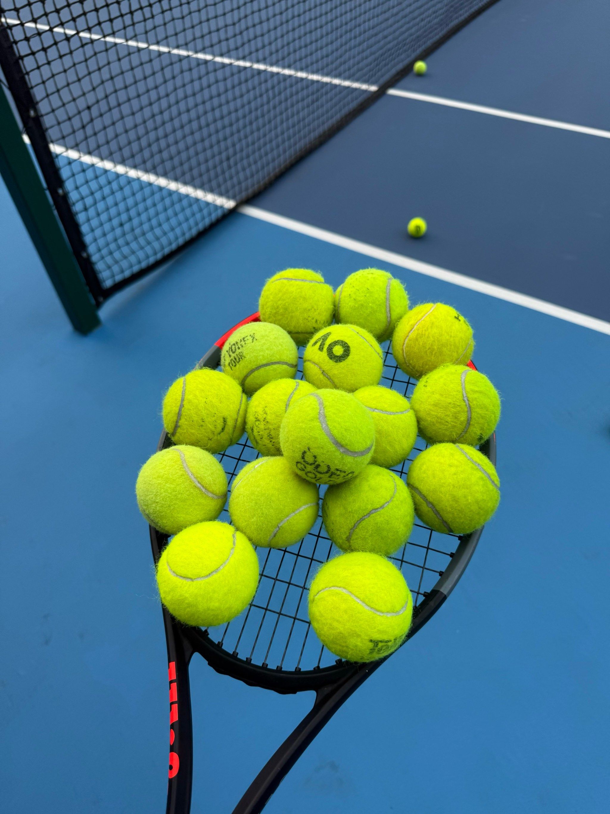 卡卢卢在新 卡卢卢在新