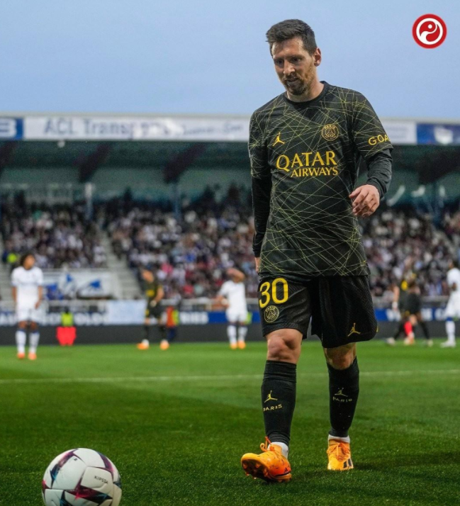 多年成长的 多年成长的